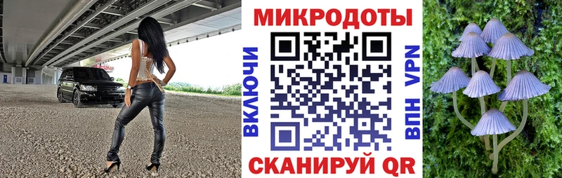 Псилоцибиновые грибы Psilocybe  Калач-на-Дону 